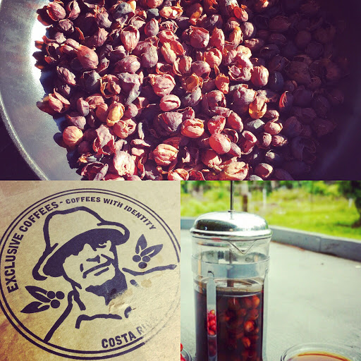 Coffee Shop «Brews Brothers Coffee», reviews and photos, 4023 E Ramsey Rd, Sierra Vista, AZ 85650, USA