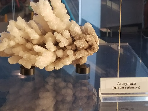 Imax Theater «AutoNation® IMAX 3D Theater», reviews and photos, 401 SW 2nd St, Fort Lauderdale, FL 33312, USA