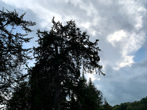 Mosque «Medina Community Center», reviews and photos, 3200 Mill St, Hamel, MN 55340, USA