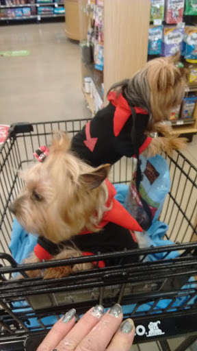 Pet Supply Store «Petco Animal Supplies», reviews and photos, 5925 US-6, Portage, IN 46368, USA