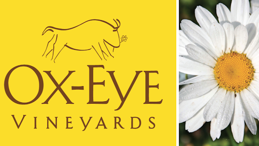 Ox-Eye Vineyards