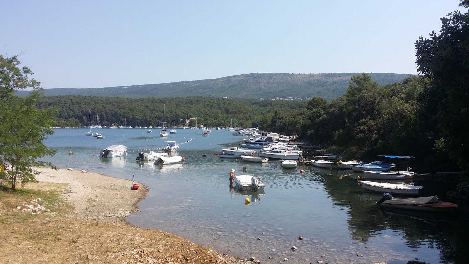 Tunarica beach'in fotoğrafı uçurumlarla desteklenmiş