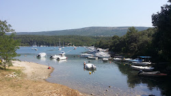 Tunarica beach'in fotoğrafı uçurumlarla desteklenmiş