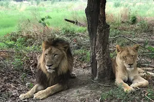 Safari Zoo Lahore image