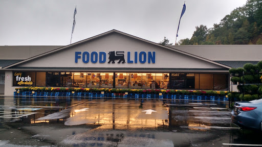 Grocery Store «Food Lion», reviews and photos, 3555 Tynecastle Hwy, Banner Elk, NC 28604, USA