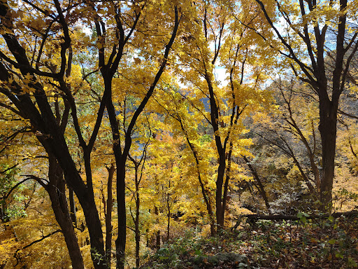 National Park «Effigy Mounds National Monument», reviews and photos, 151 IA-76, Harpers Ferry, IA 52146, USA