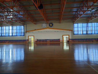Sala de jocuri sportive a Universității - Str. Făgărașului, Oradea, Romania