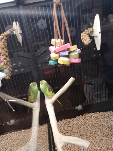 Pet Supply Store «PetSmart», reviews and photos, 450 Fairview Ave, Hudson, NY 12534, USA