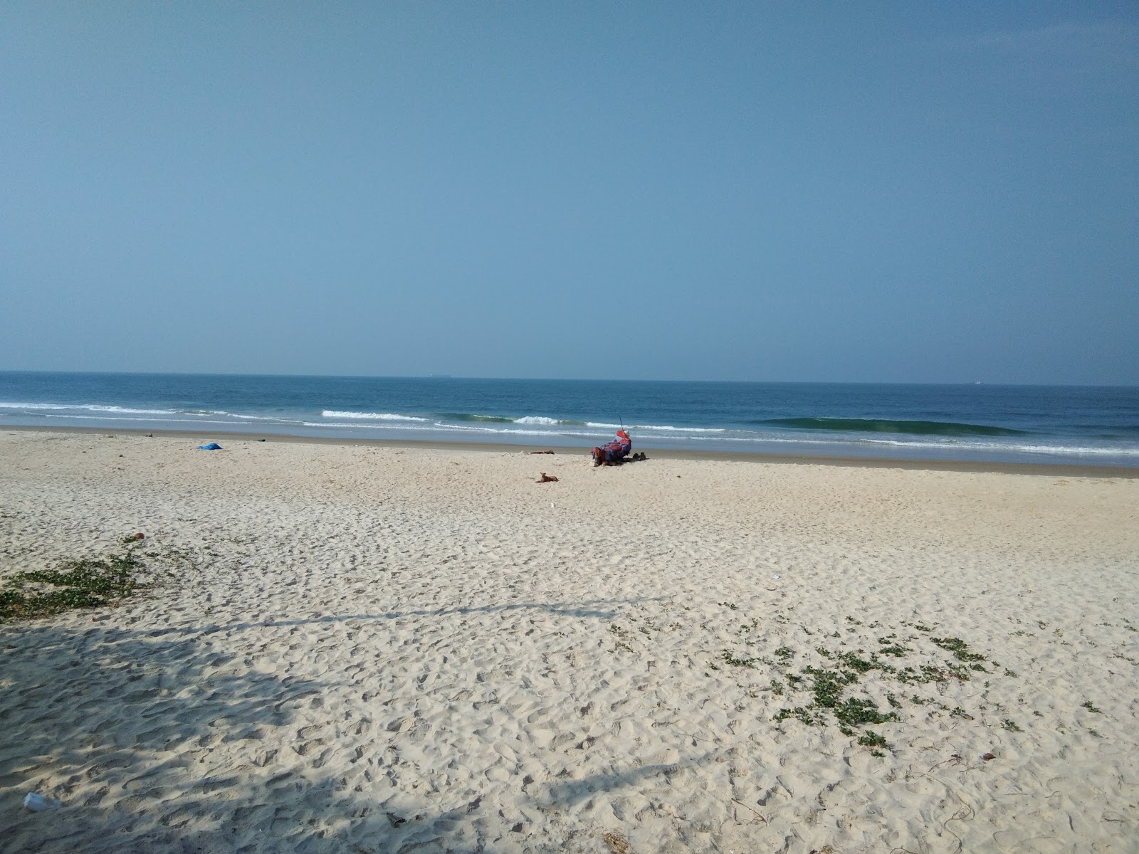 Foto de Panambur Beach - lugar popular entre los conocedores del relax