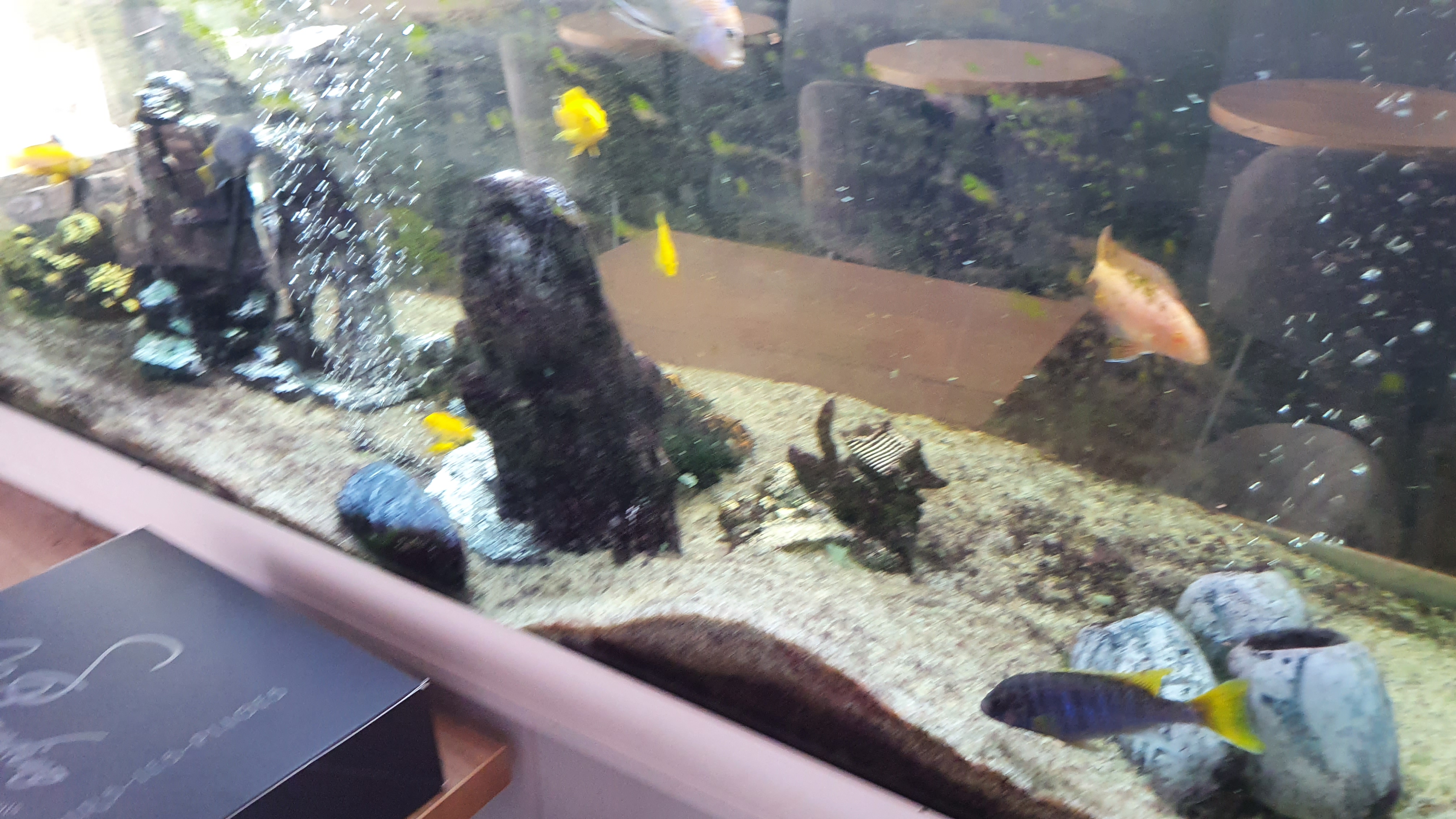 Photo n° 5 de l'avis de Patrick.a fait le 26/06/2022 à 19:10
