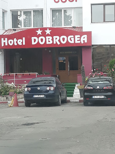Hotel Dobrogea - <nil>