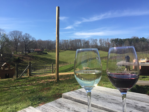 Vineyard «Cavender Creek Vineyards», reviews and photos, 3610 Cavender Creek Rd, Dahlonega, GA 30533, USA