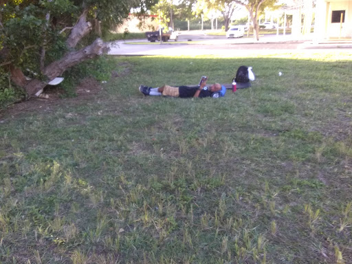 Flea Market «Revelation Marketplace», reviews and photos, 27455 S Dixie Hwy, Homestead, FL 33032, USA