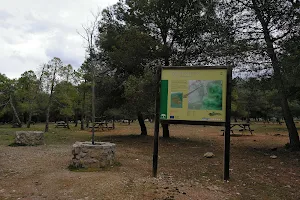 Area Recreativa Los Llanos image