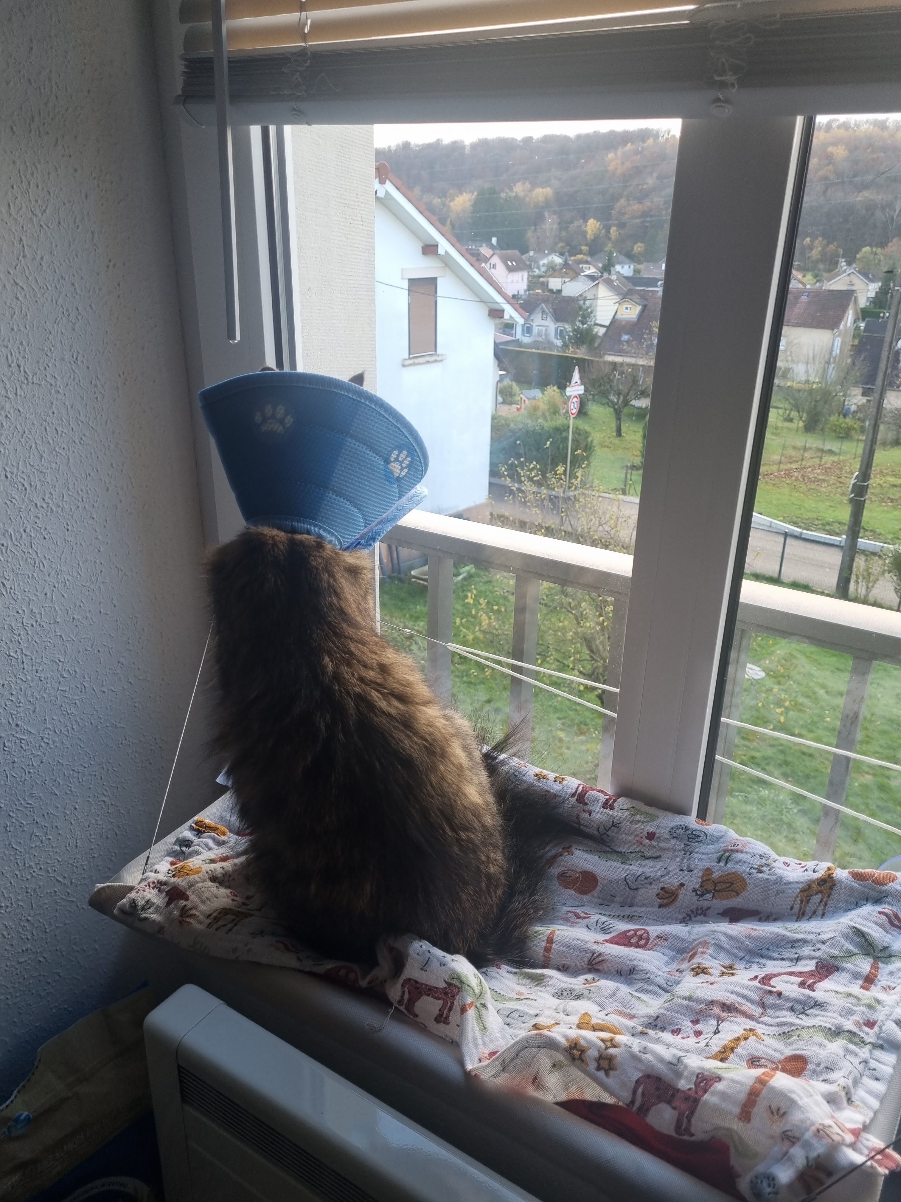 Photo n° 3 de l'avis de Jihen.a fait le 21/11/2023 à 10:27