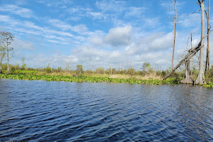 Stephen C Foster State Park