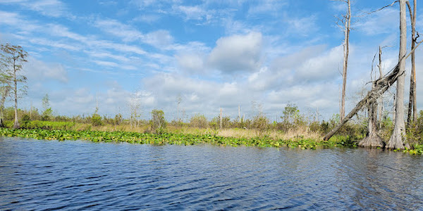 Stephen C Foster State Park