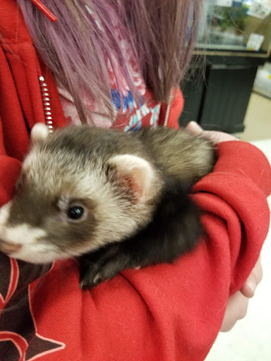 Pet Supply Store «Petco Animal Supplies», reviews and photos, 790 Waverly Rd, North Andover, MA 01845, USA