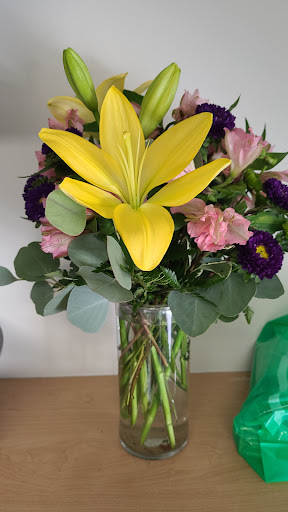 Florist «Hayes Florist», reviews and photos, 5444 Park Blvd N, Pinellas Park, FL 33781, USA