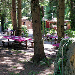 Photo n°3 de l'avis de francesco.o fait le 03/06/2021 à 05:04 sur le  Il Piccolo Paradiso à Rocca Priora