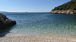 Photo de Beach Skvaranska situé dans une zone naturelle