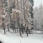 Photo n°36 de l'avis de AhMeD. fait le 28/01/2023 à 18:10 sur le  Steindl's Hotel à Sterzing