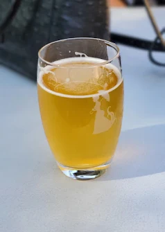 Darien Illinois breweries