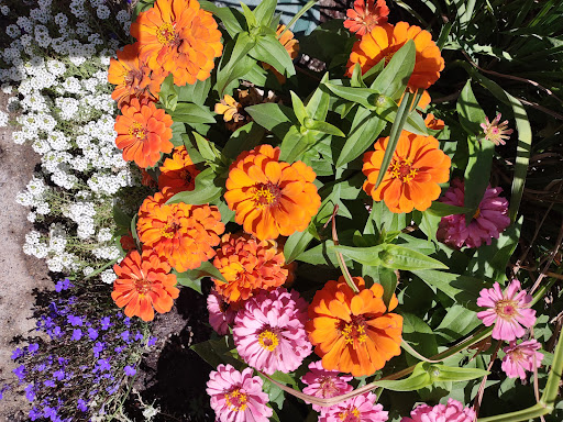 Shopping Mall «Sugar House Shopping Center», reviews and photos, 2274 S 1300 E, Salt Lake City, UT 84106, USA