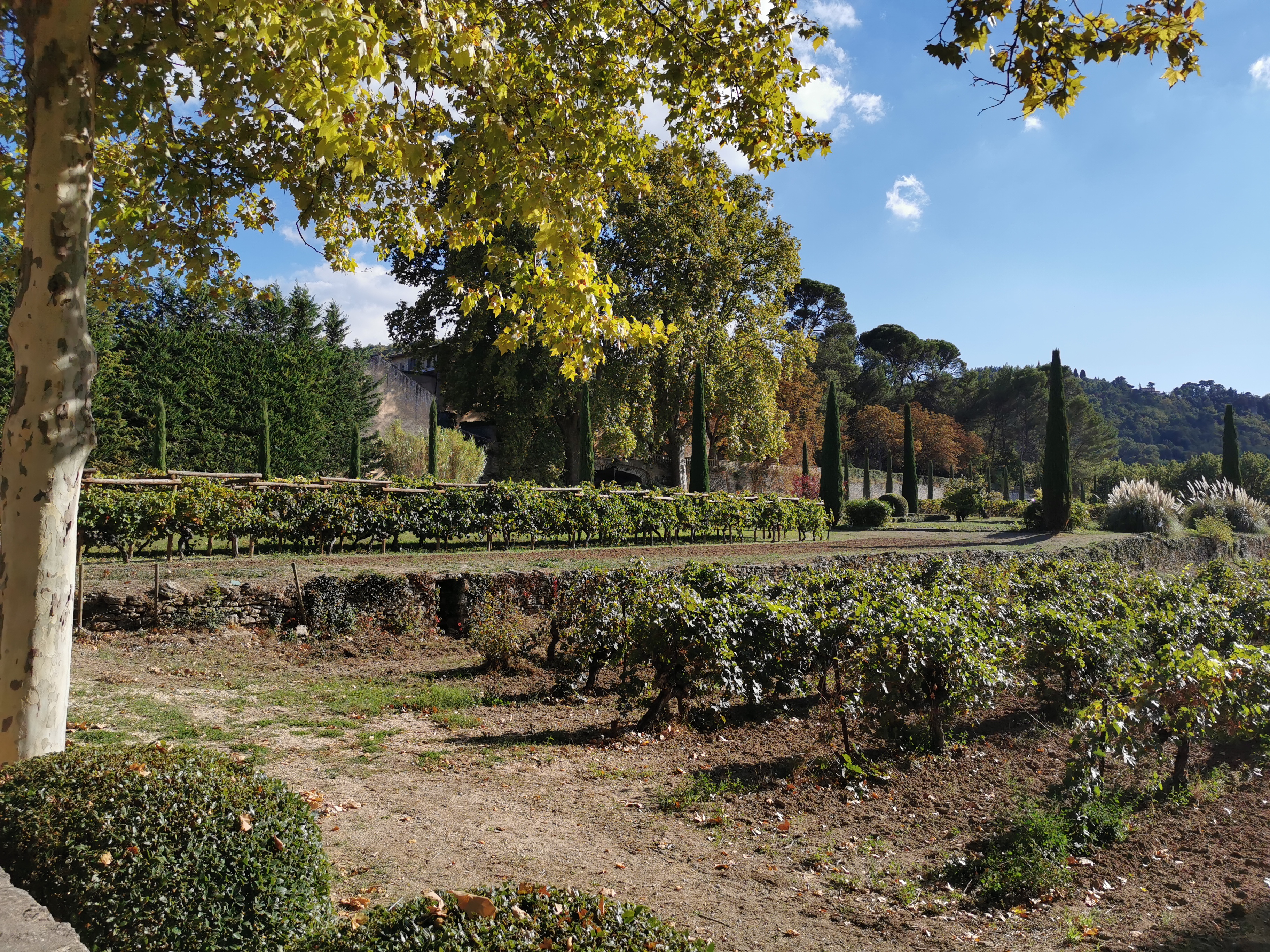 Photo n° 5 de l'avis de Ármin.� fait le 10/10/2022 à 17:40