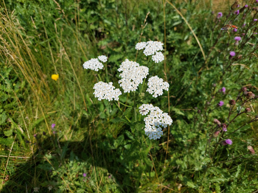 Golf Driving Range «Stoney Creek Golf Course», reviews and photos, 13939 W 96th Ave, Arvada, CO 80005, USA