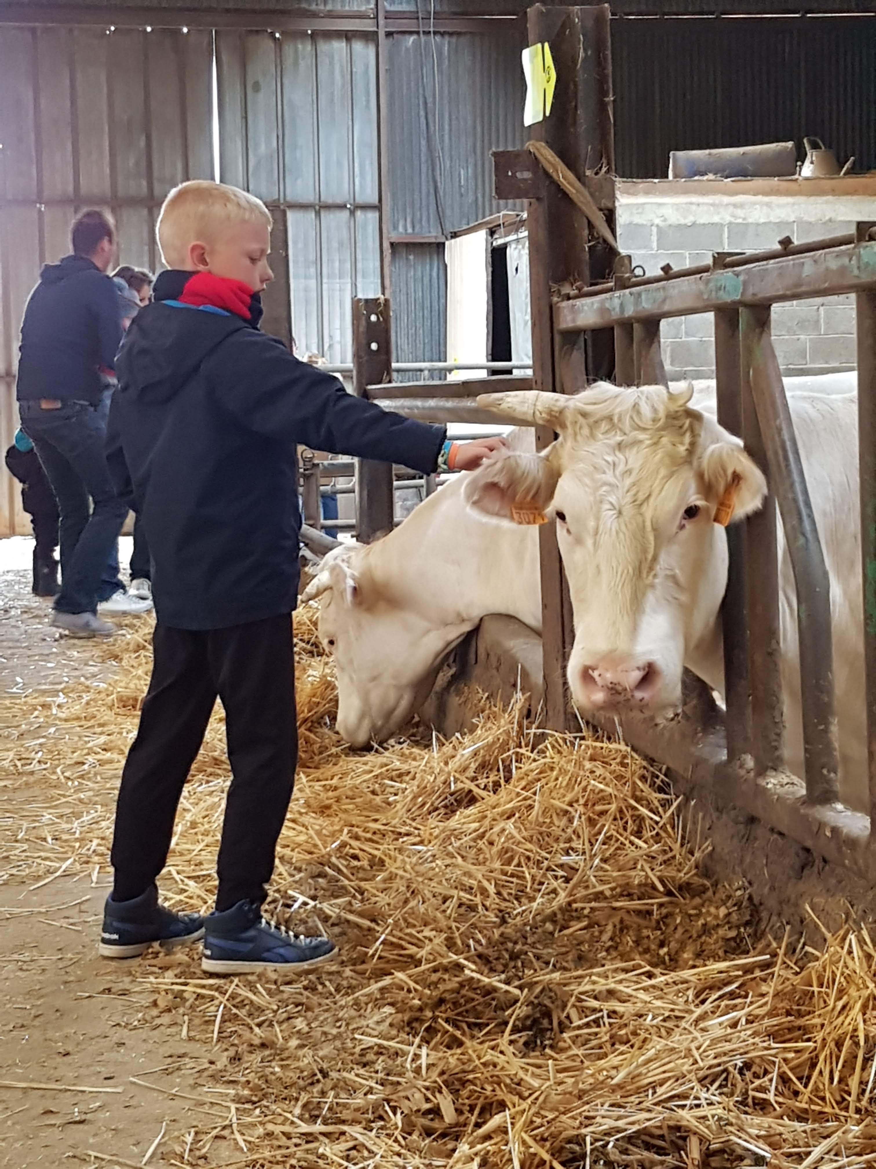 Photo n° 13 de l'avis de Alicia.P fait le 28/04/2019 à 13:27