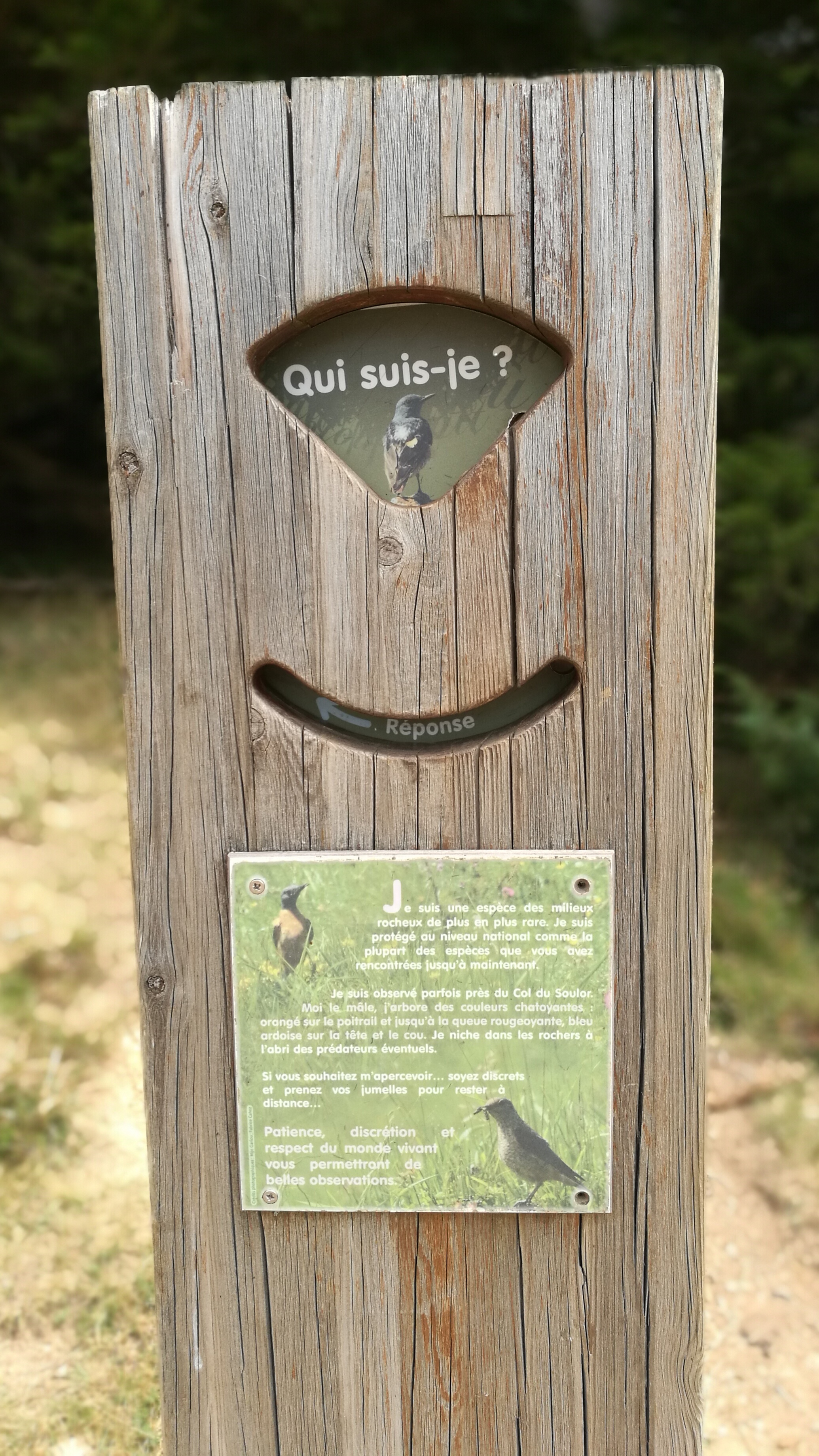 Photo n° 11 de l'avis de oligo.t fait le 18/08/2022 à 06:53
