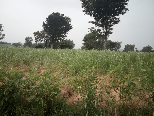 Abaji General Hospital Mosque, Abaji, Nigeria, Place of Worship, state Nasarawa