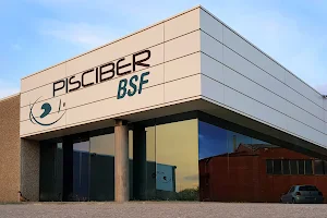 Pisciber BSF image