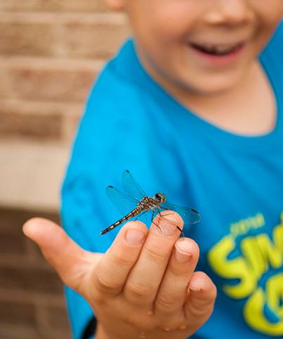 Natural History Museum «Fernbank Museum of Natural History», reviews and photos, 767 Clifton Rd, Atlanta, GA 30307, USA