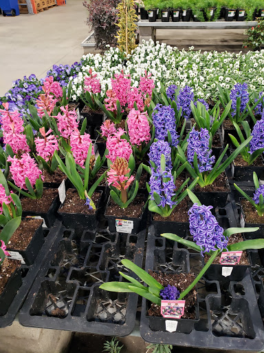 Home Improvement Store «The Home Depot», reviews and photos, 5010 Feather River Dr, Stockton, CA 95219, USA