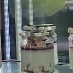 Photo n°6 de l'avis de marco.a fait le 02/03/2024 à 20:50 sur le  TRE Officina delGusto à Villanova d'Asti