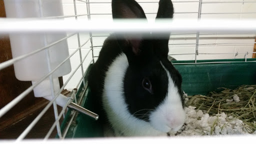 Pet Supply Store «Saluda River Pet», reviews and photos, 130 Robin Helton Dr, Boiling Springs, SC 29316, USA