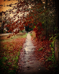 Beaverton Security - Photo 3 - Car repair in , Portland