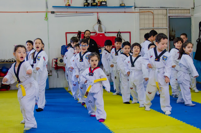 Taekwondo Revolución Iquique - Iquique
