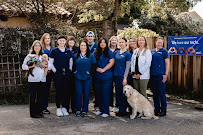 VCA Animal Hospital of Santa Cruz - Photo 3 - Car repair in Santa Cruz, CA, Santa Cruz
