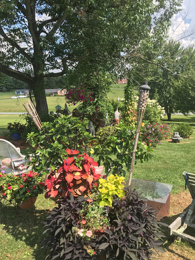 Florist «GENES FLORIST & Gift Baskets», reviews and photos, 20200 Frederick Rd, Germantown, MD 20876, USA