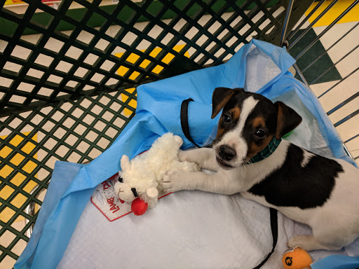 Pet Supply Store «Pet Supplies Plus», reviews and photos, 2649 E Grand River Ave, Howell, MI 48843, USA