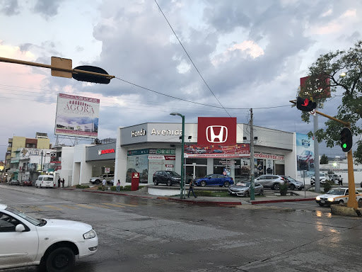Honda Avenida