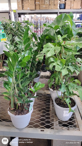 Home Improvement Store «The Home Depot», reviews and photos, 1955 E Pacheco Blvd, Los Banos, CA 93635, USA