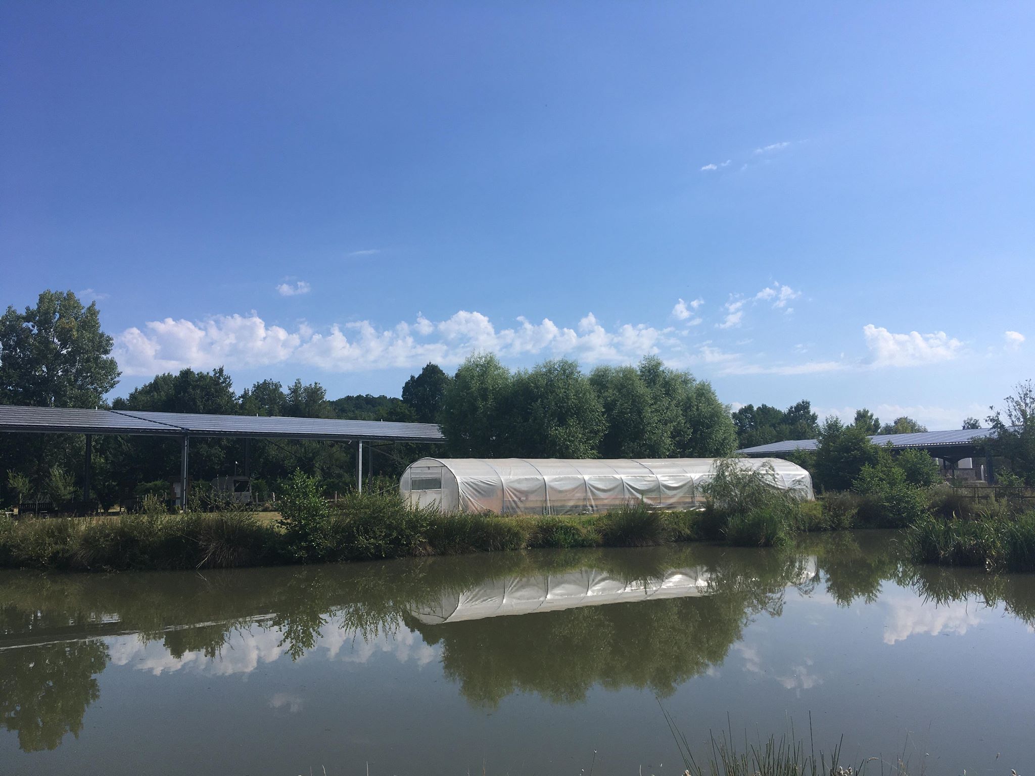 Photo n° 1 de l'avis de Léa.a fait le 05/08/2020 à 15:34