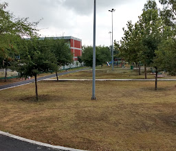 nochebuena Park photo