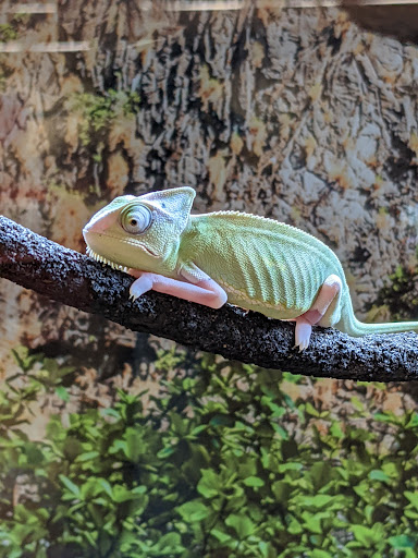 Pet Supply Store «Petco Animal Supplies», reviews and photos, 187 Stonebrook Pl, Jackson, TN 38305, USA