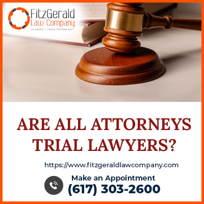 Immigration Attorney «FitzGerald Law Company», reviews and photos