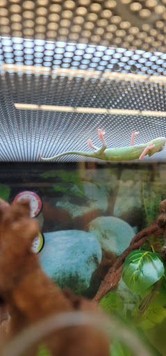 Pet Supply Store «Petco Animal Supplies», reviews and photos, 1945 W Palmetto St #250, Florence, SC 29501, USA